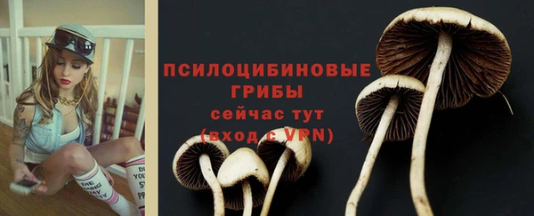 ALPHA PVP Армянск