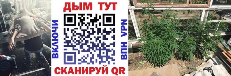 маркетплейс формула  Среднеколымск  Бошки Шишки OG Kush  что такое наркотик  ссылка на мегу онион 